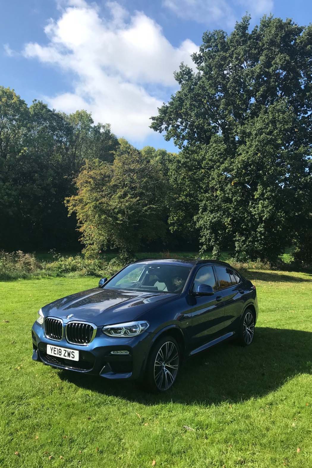 Bmw x4 xdrive 20d